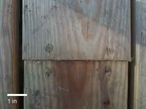 Deck boards of uneven width